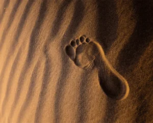Footprint