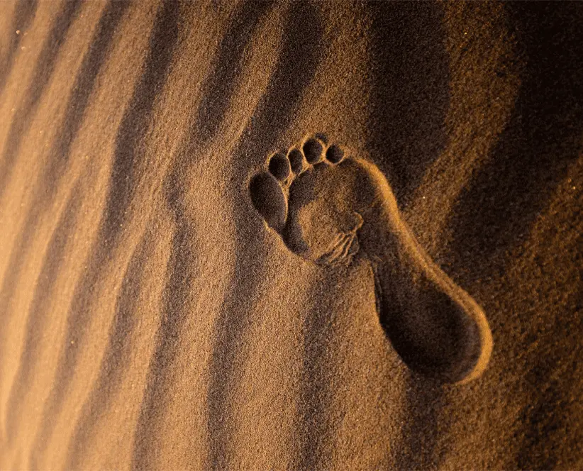 Footprint